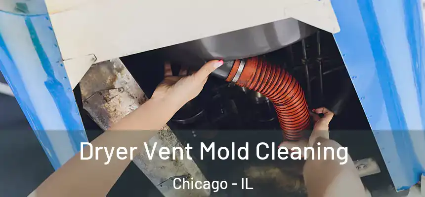 Dryer Vent Mold Cleaning Chicago - IL