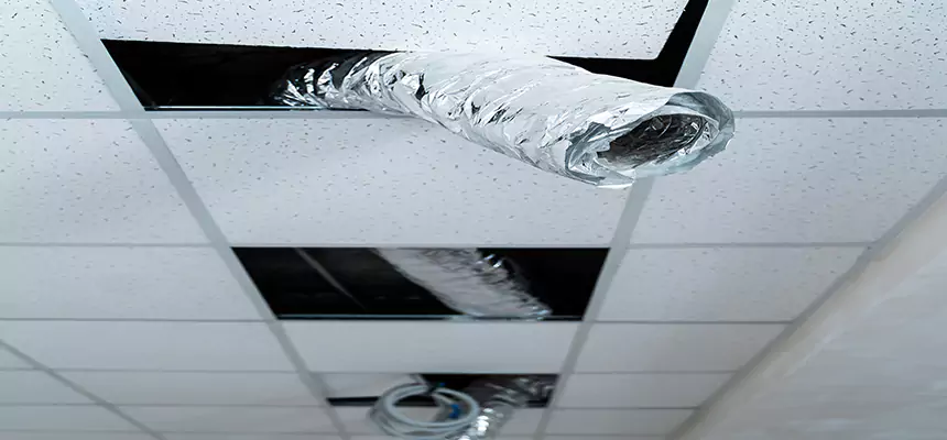 Our Air Duct Pet Hair Removal Services in Chicago, IL