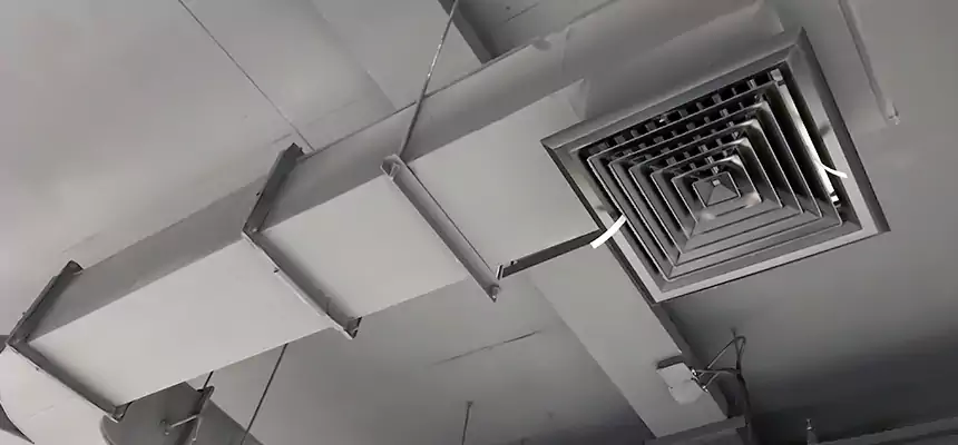 Restorative Allergy Relief Vent Cleaning – Coil, Blower & Housing Detail in Chicago