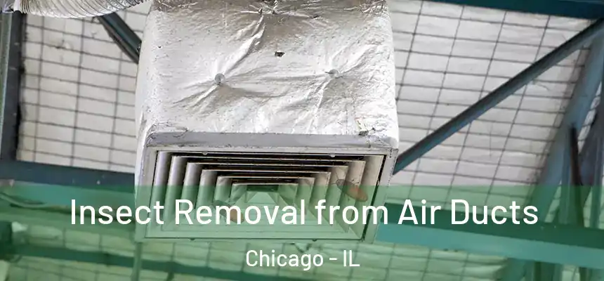 Insect Removal from Air Ducts Chicago - IL