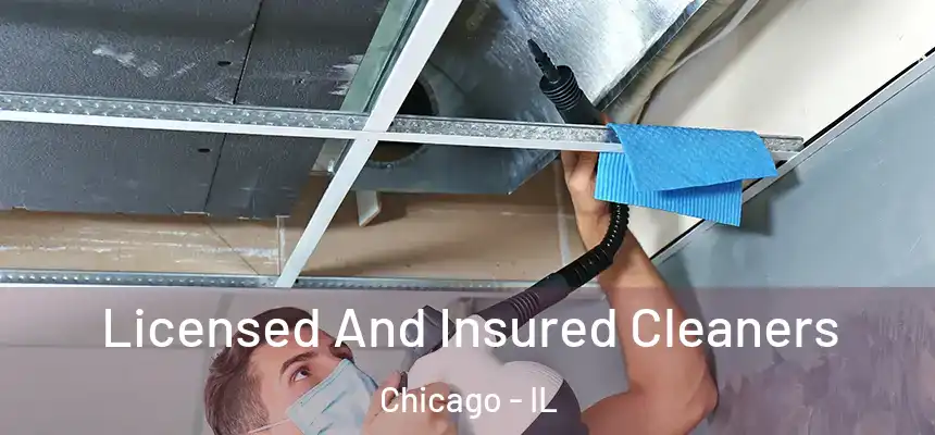 Licensed And Insured Cleaners Chicago - IL