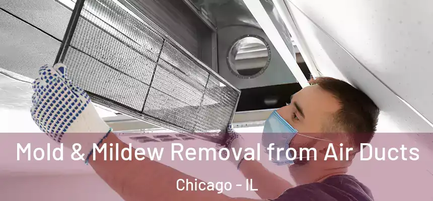  Mold & Mildew Removal from Air Ducts Chicago - IL