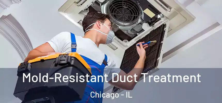  Mold-Resistant Duct Treatment Chicago - IL
