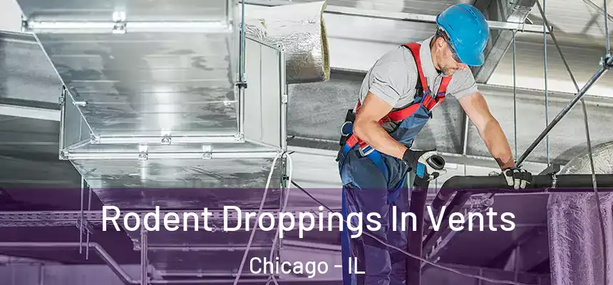  Rodent Droppings In Vents Chicago - IL