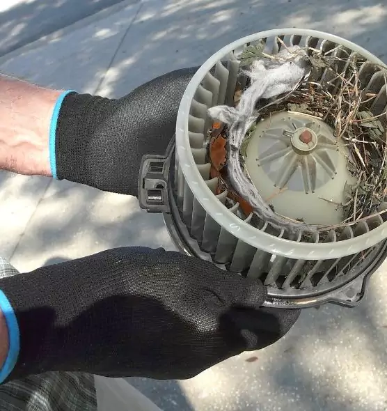 About Air Duct Mice Removal in Chicago, IL