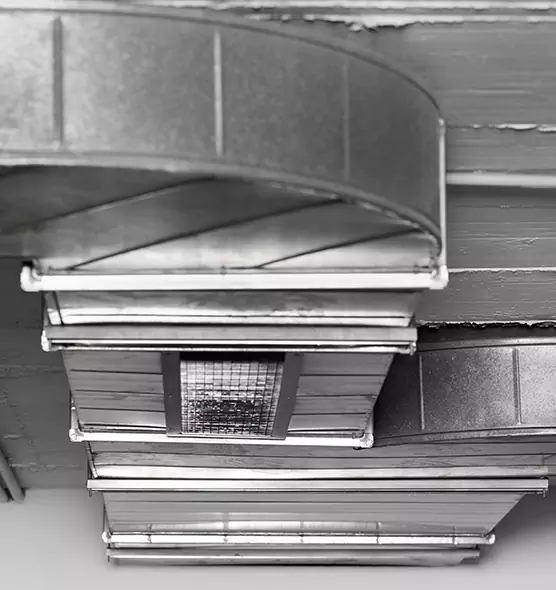 Professional Air Duct Pest Removal in Chicago, IL