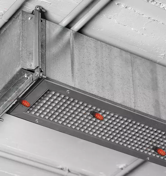 Affordable Insect Removal from Air Ducts in Chicago, IL