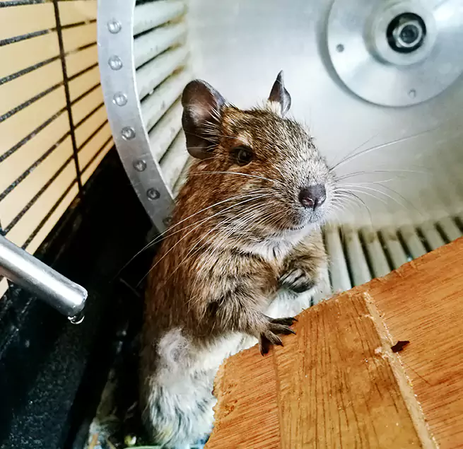 Why Homeowners & Businesses Trust Us Chicago, IL