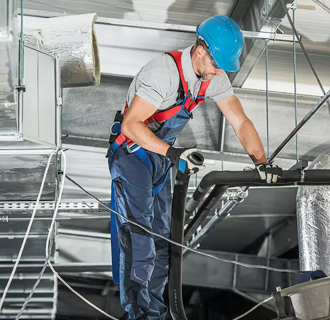 Why Homeowners & Businesses Trust Us in Chicago, IL?