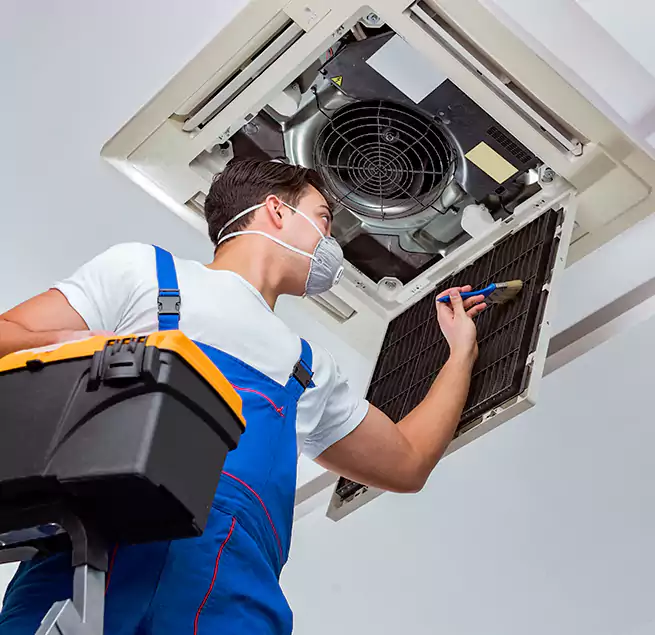 Why Homeowners & Businesses Trust Us in Chicago, IL?