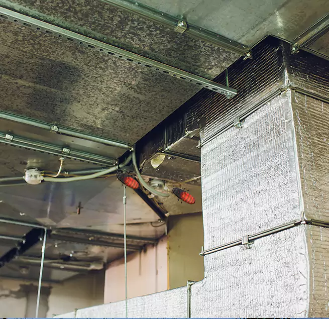 Why Homeowners & Businesses Trust Us Chicago, IL?