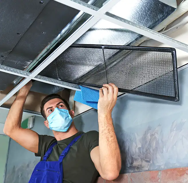 Why Homeowners & Businesses Trust Us in Chicago, IL?