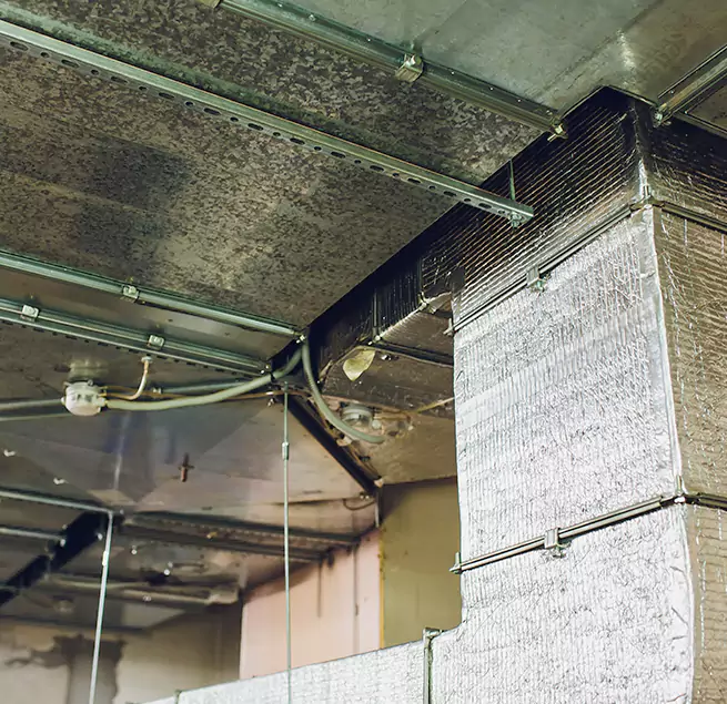 Why Homeowners & Businesses Trust Us in Chicago, IL?