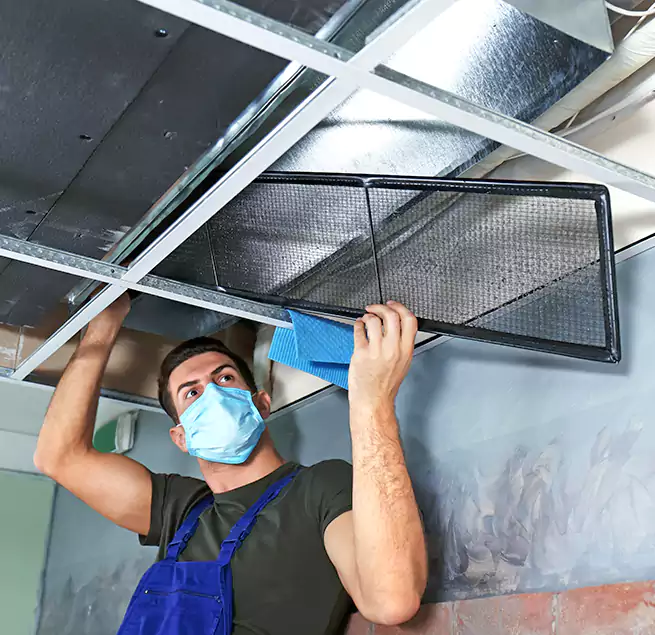 Why Homeowners Businesses Trust Us in Chicago, IL